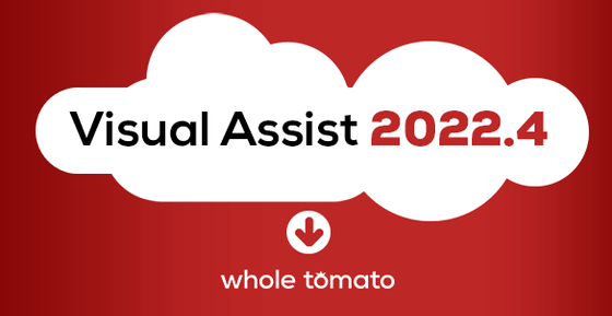 Visual Assist 2022.4